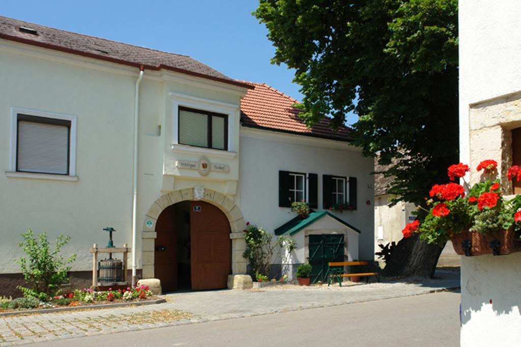 Winzerzimmer - Weingut Tinhof Айзенщат Екстериор снимка