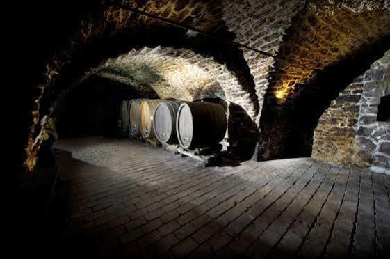 Winzerzimmer - Weingut Tinhof Айзенщат Екстериор снимка