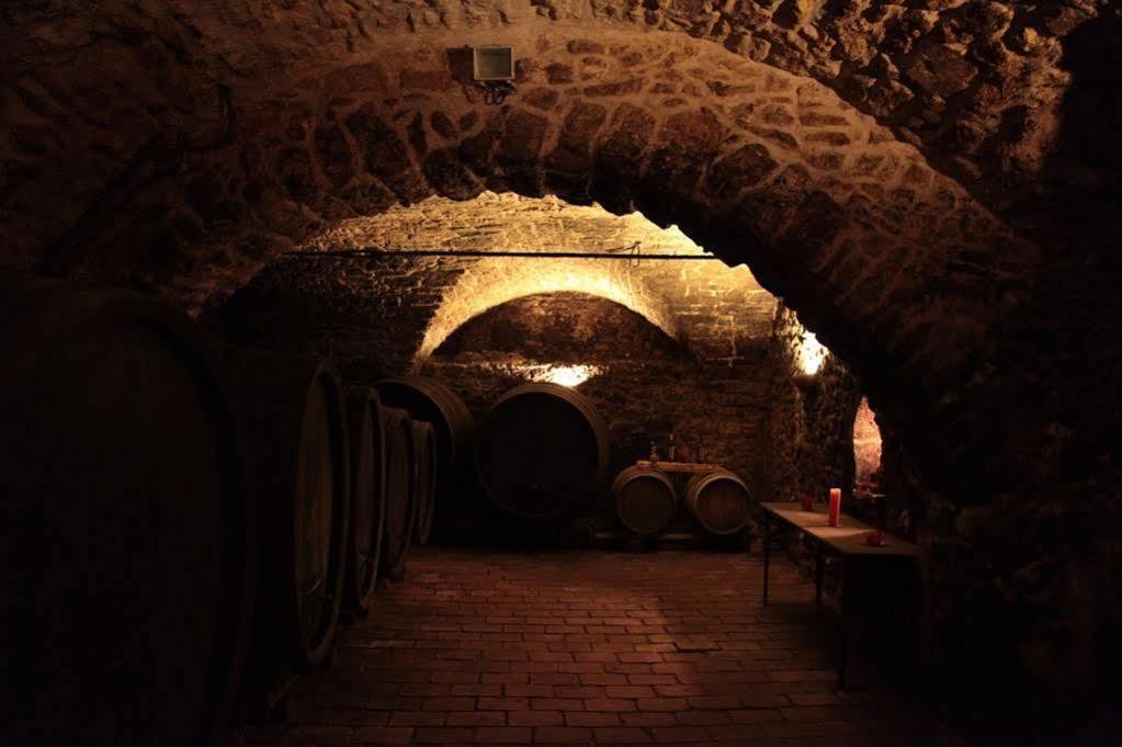 Winzerzimmer - Weingut Tinhof Айзенщат Екстериор снимка